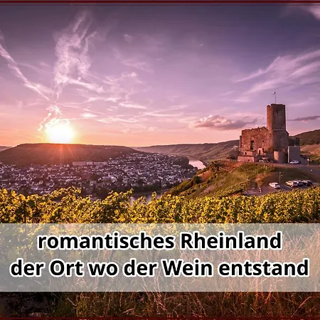 Apartment Smallsaigon Mit Guter Anbindung Zwischen Mosel Und Rhein Leiningen