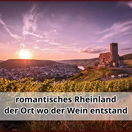 Apartment Smallsaigon Mit Guter Anbindung Zwischen Mosel Und Rhein Leiningen